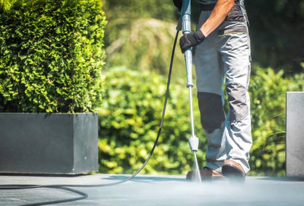 Best Gutter Cleaning  in New Ulm, MN